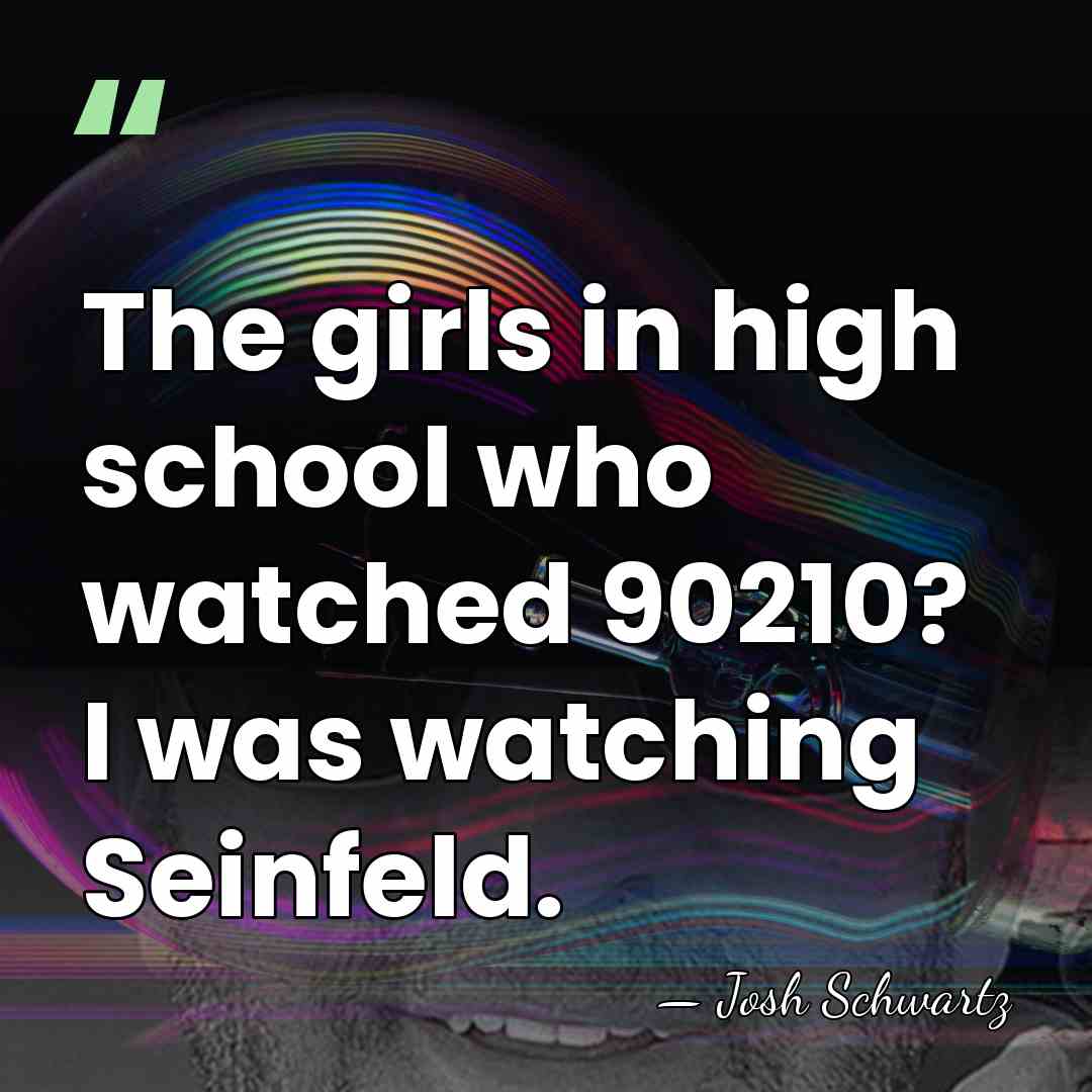 The girls in high school who watched 90210? I was watching Seinfeld. - Josh Schwartz