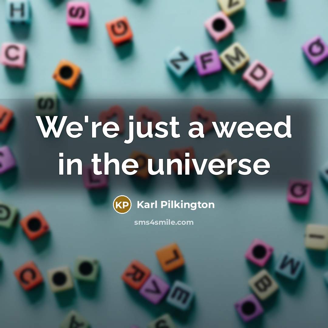 “We're just a weed in the universe…” quote by Karl Pilkington