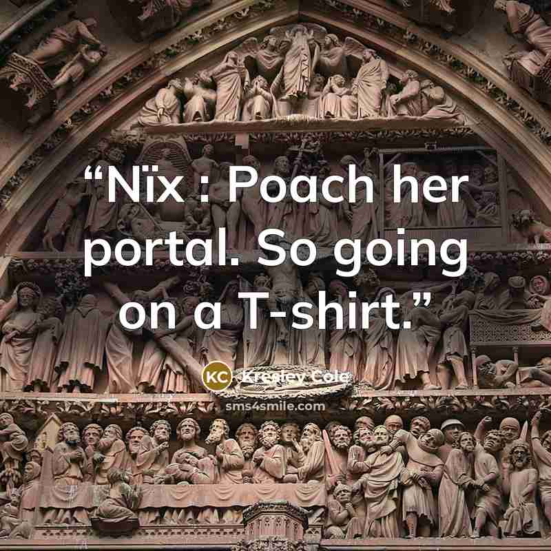 “Nïx : Poach her portal. So going on a T-shirt.” quote by Kresley Cole