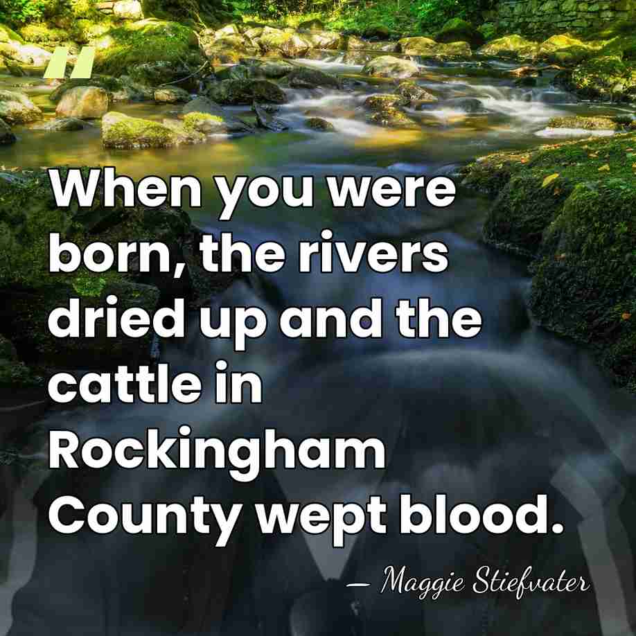 When you were born, the rivers dried up and the cattle in&hellip; - Maggie Stiefvater