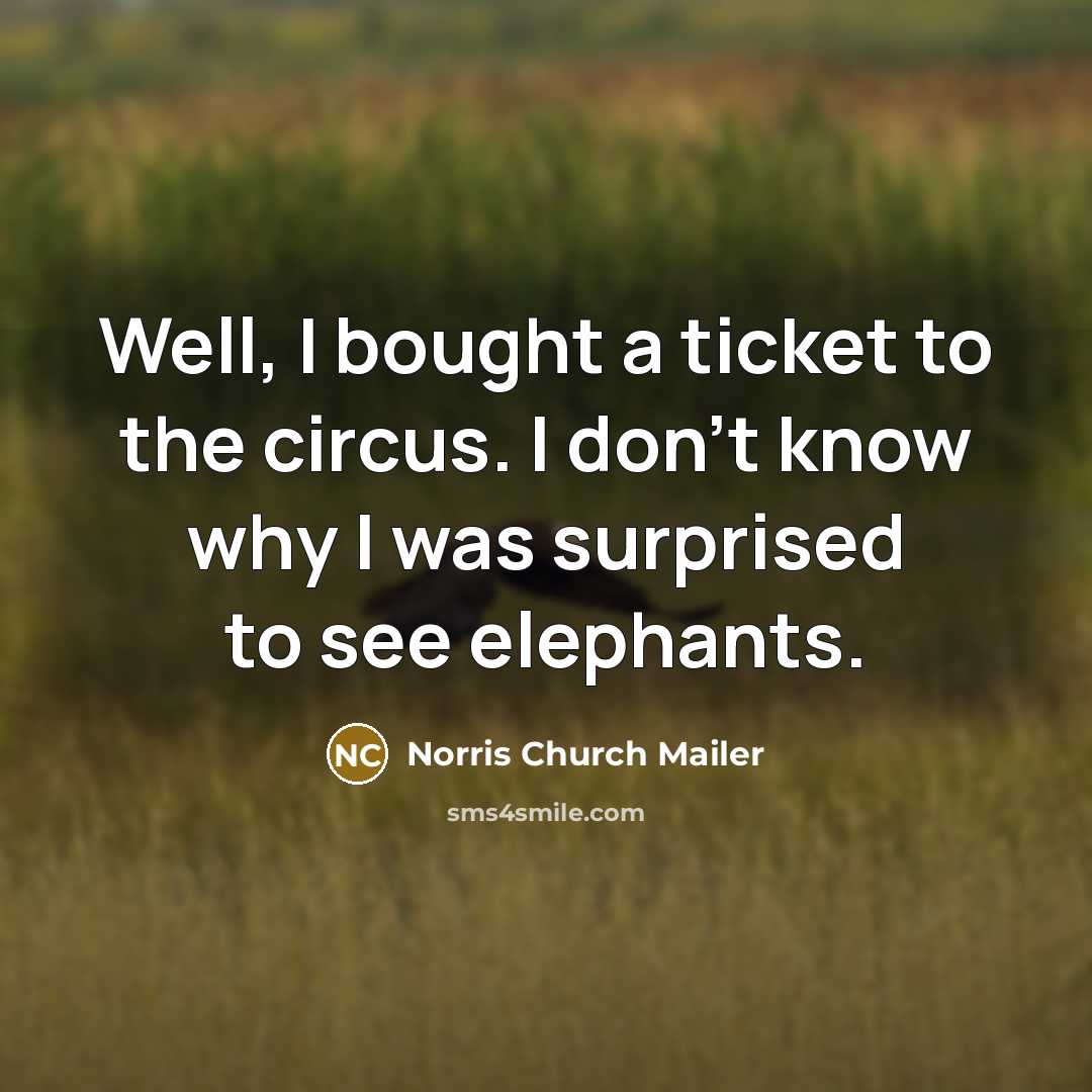 “Well, I bought a ticket to the circus. I don't…” quote by Norris Church Mailer