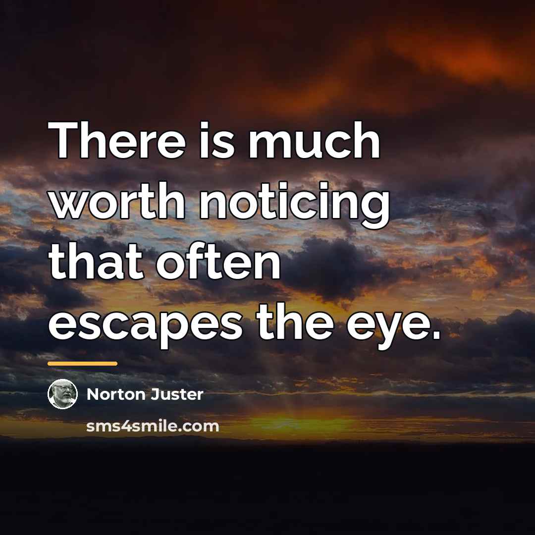“There is much worth noticing that often escapes the eye.…” quote by Norton Juster