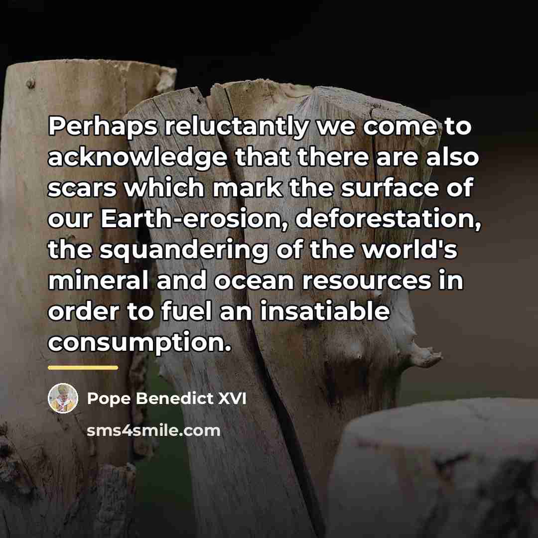 “Perhaps reluctantly we come to acknowledge that there are also…” quote by Pope Benedict XVI