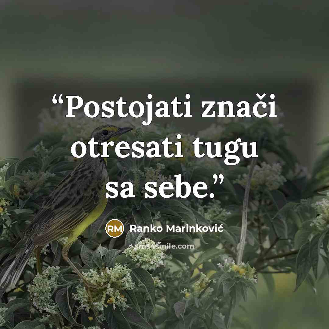 “Postojati znači otresati tugu sa sebe.” quote by Ranko Marinković