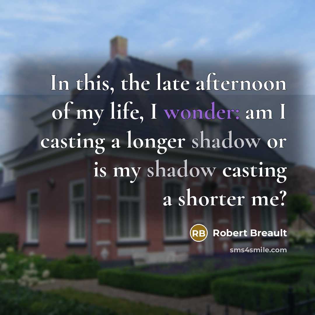 “In this, the late afternoon of my life, I wonder:…” quote by Robert Breault
