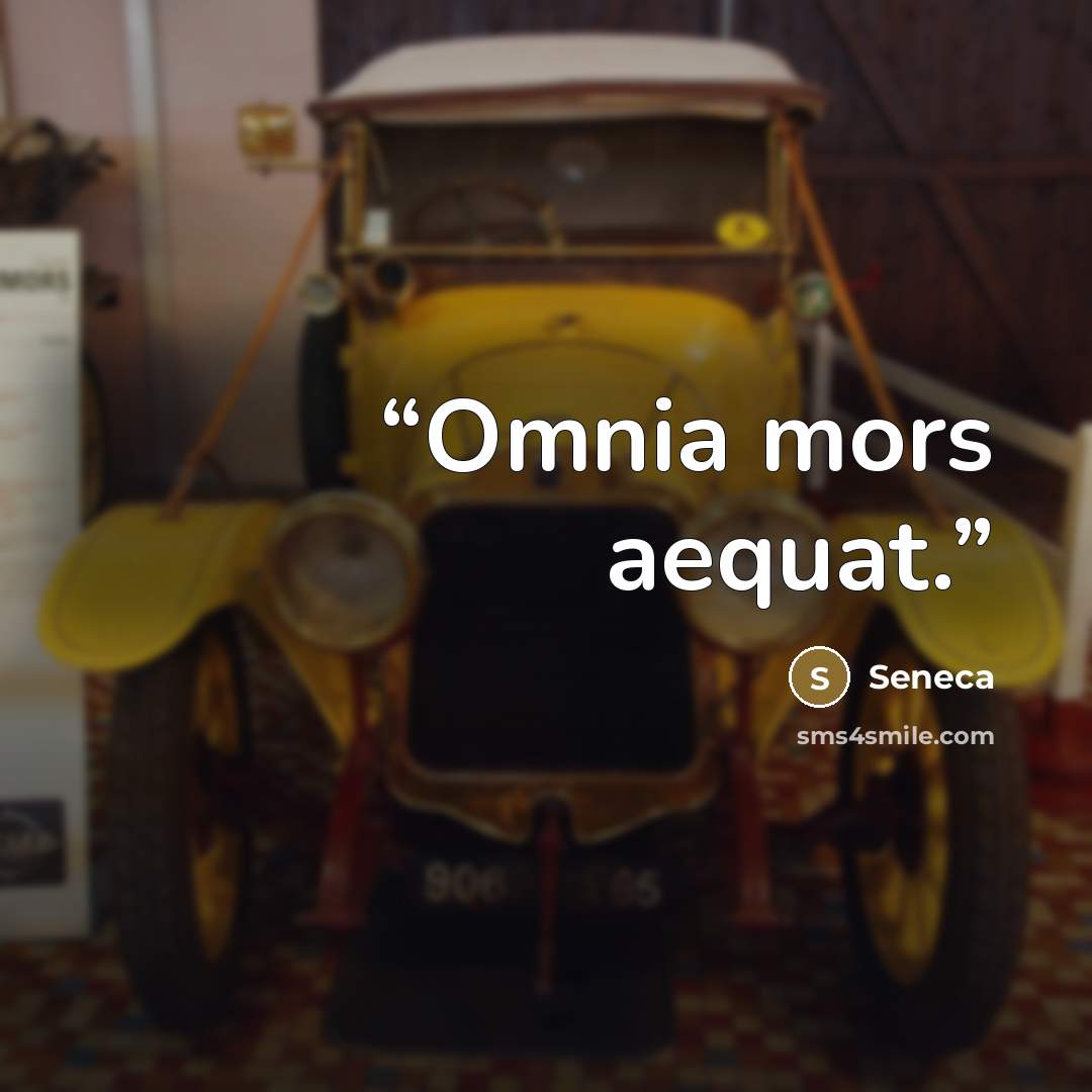 “Omnia mors aequat.” quote by Seneca