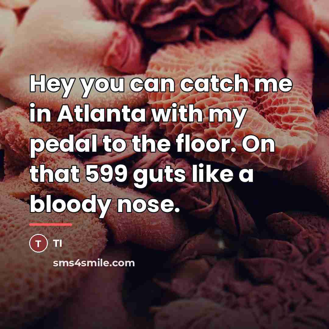 “Hey you can catch me in Atlanta with my pedal…” quote by TI
