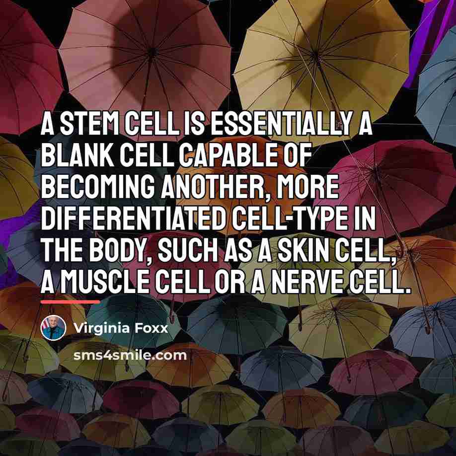 “A stem cell is essentially a blank cell capable of…” quote by Virginia Foxx