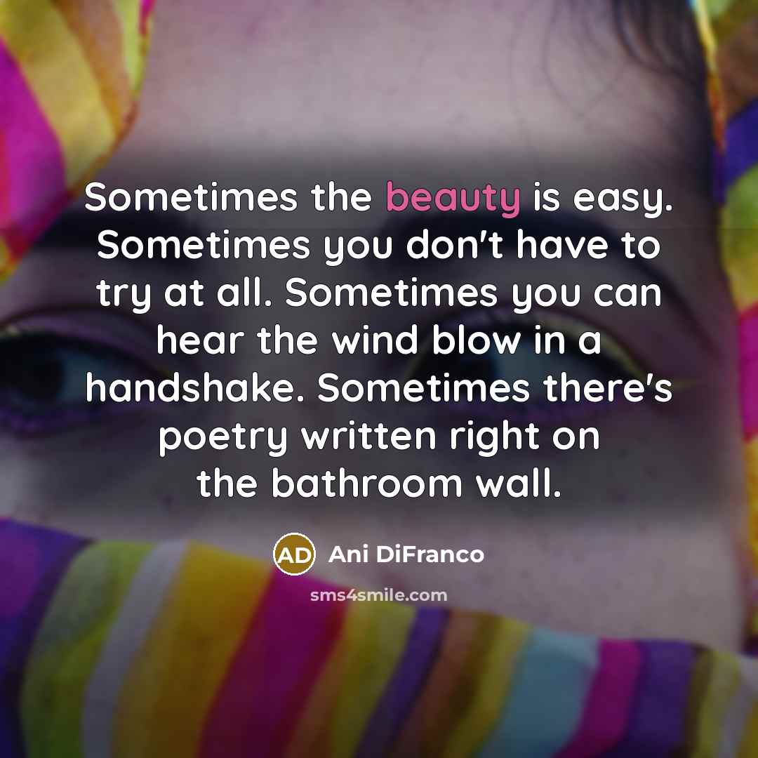“Sometimes the beauty is easy. Sometimes you don't have to…” quote by Ani DiFranco