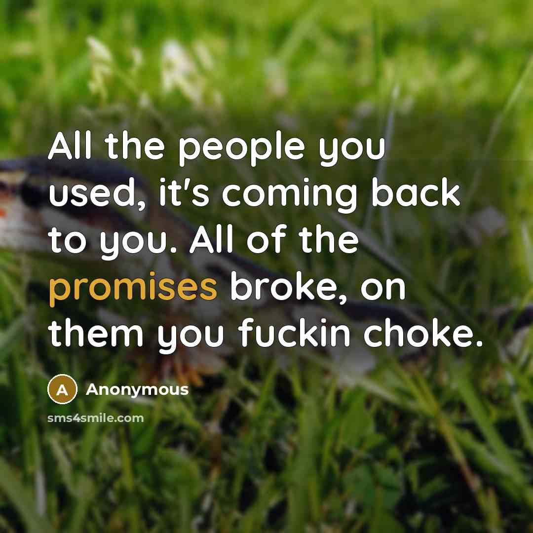 “All the people you used, it's coming back to you. All of the promises broke, on them you fuckin choke.” quote by Anonymous