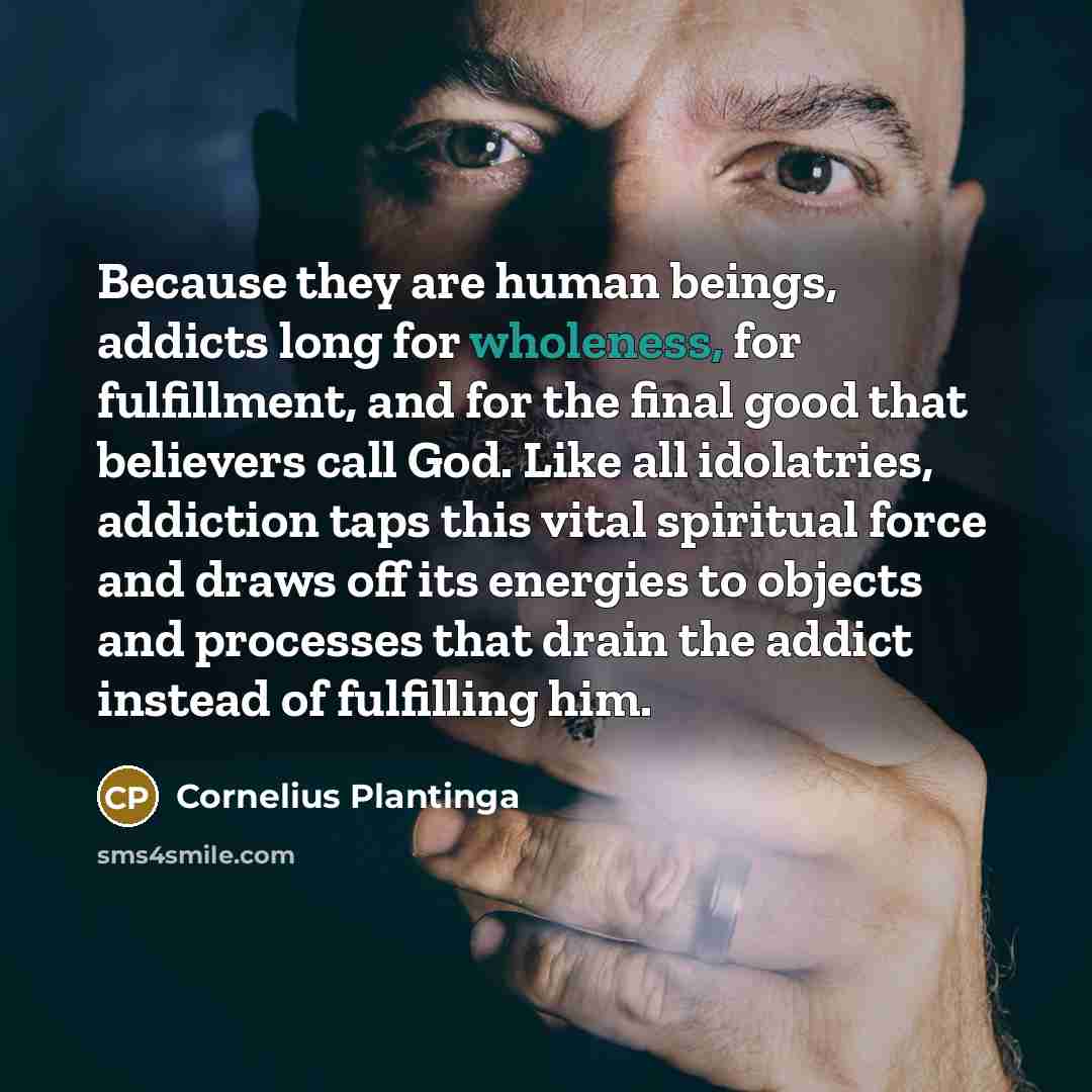 “Because they are human beings, addicts long for wholeness, for…” quote by Cornelius Plantinga