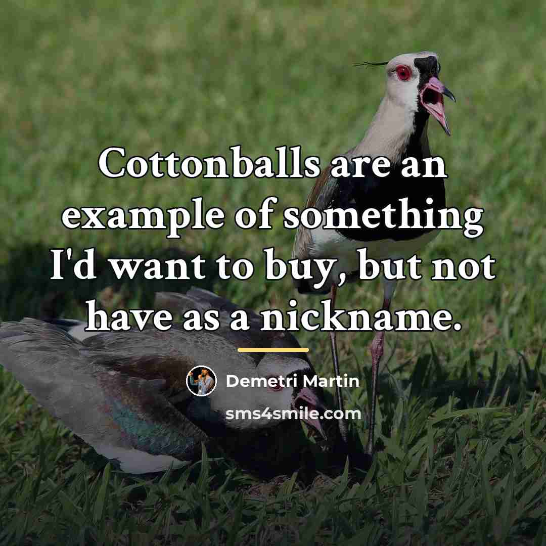 “Cottonballs are an example of something I'd want to buy,…” quote by Demetri Martin