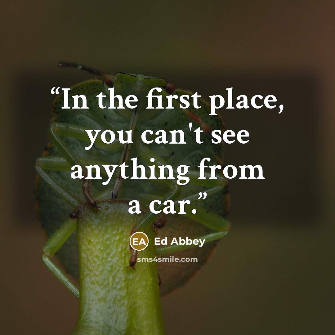 “In the first place, you can't see anything from a car.” quote by Ed Abbey