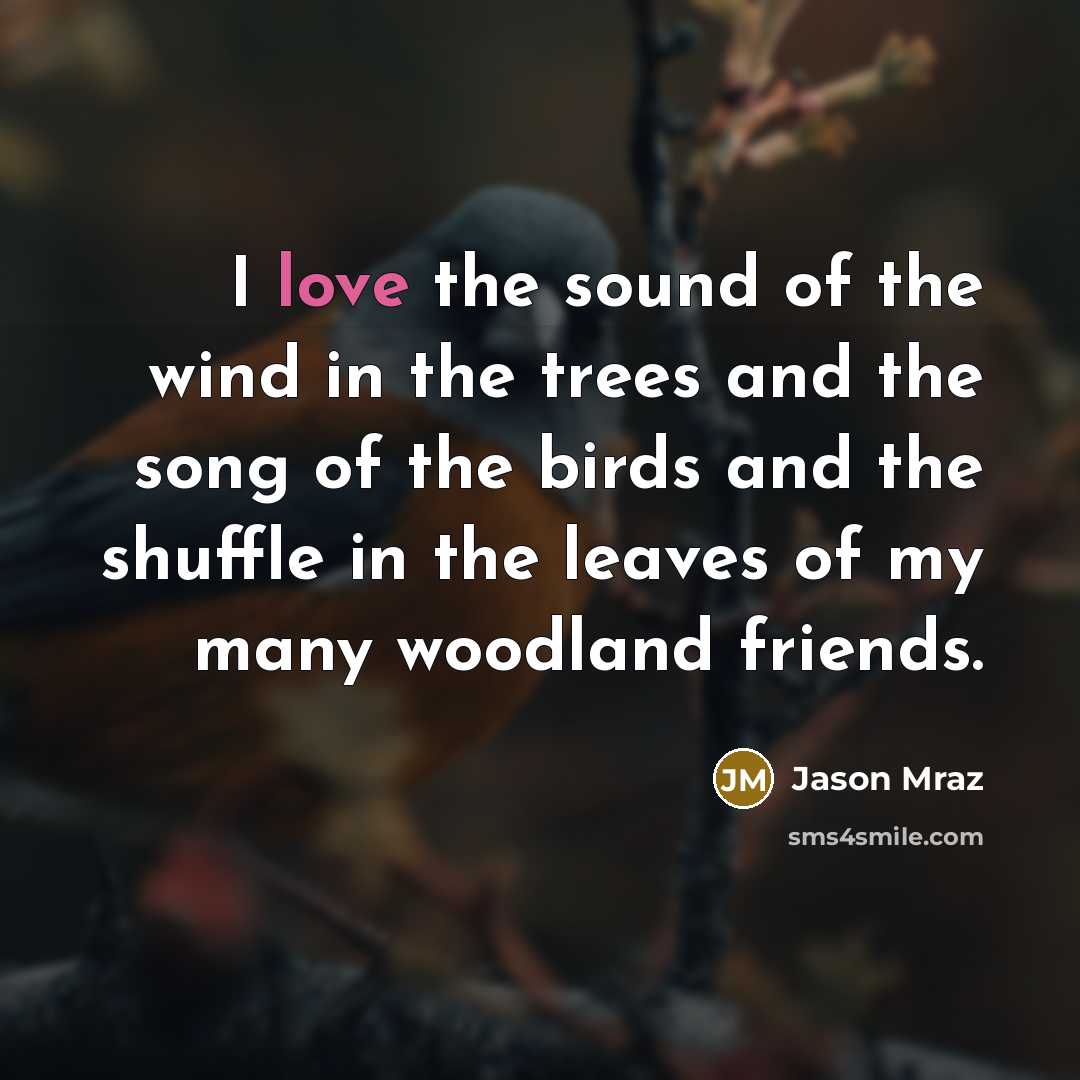 “I love the sound of the wind in the trees…” quote by Jason Mraz