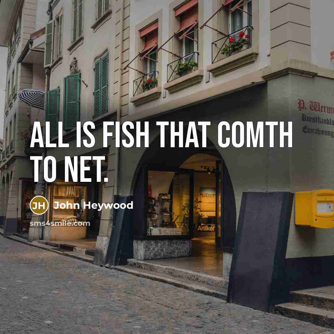 “All is fish that comth to net.…” quote by John Heywood