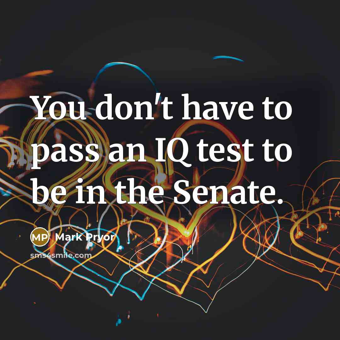 “You don't have to pass an IQ test to be…” quote by Mark Pryor