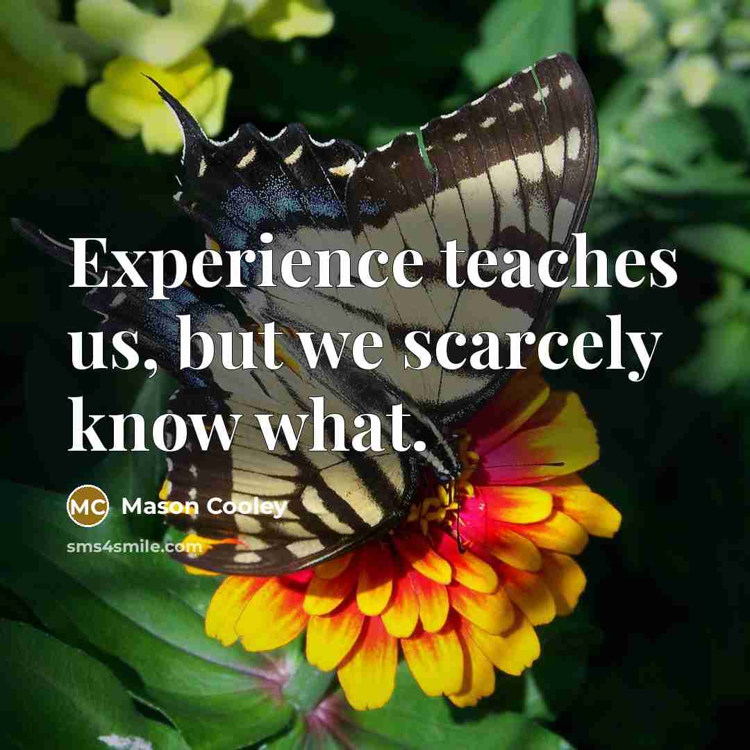 “Experience teaches us, but we scarcely know what.…” quote by Mason Cooley
