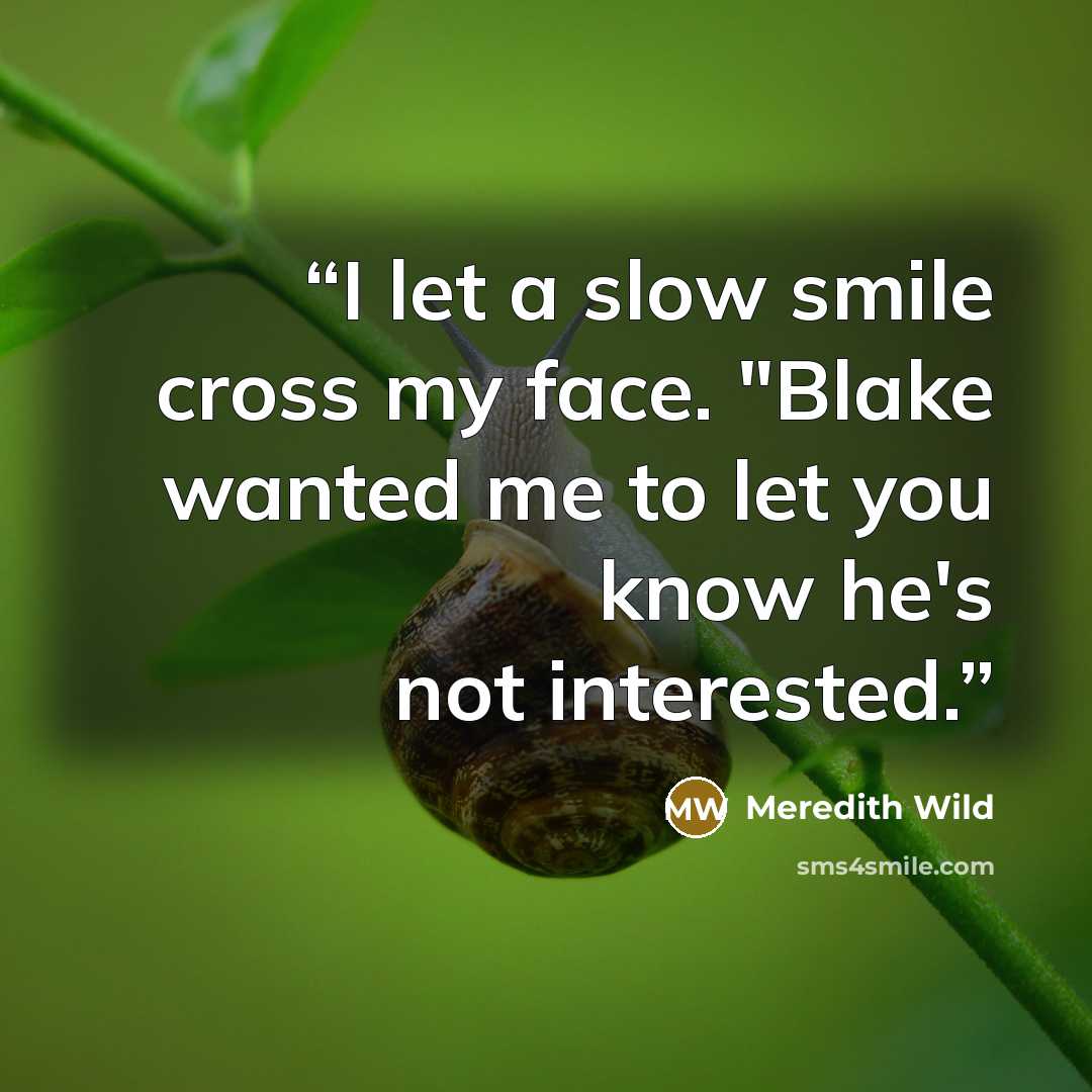 “I let a slow smile cross my face. "Blake wanted me to let you know he's not interested.” quote by Meredith Wild