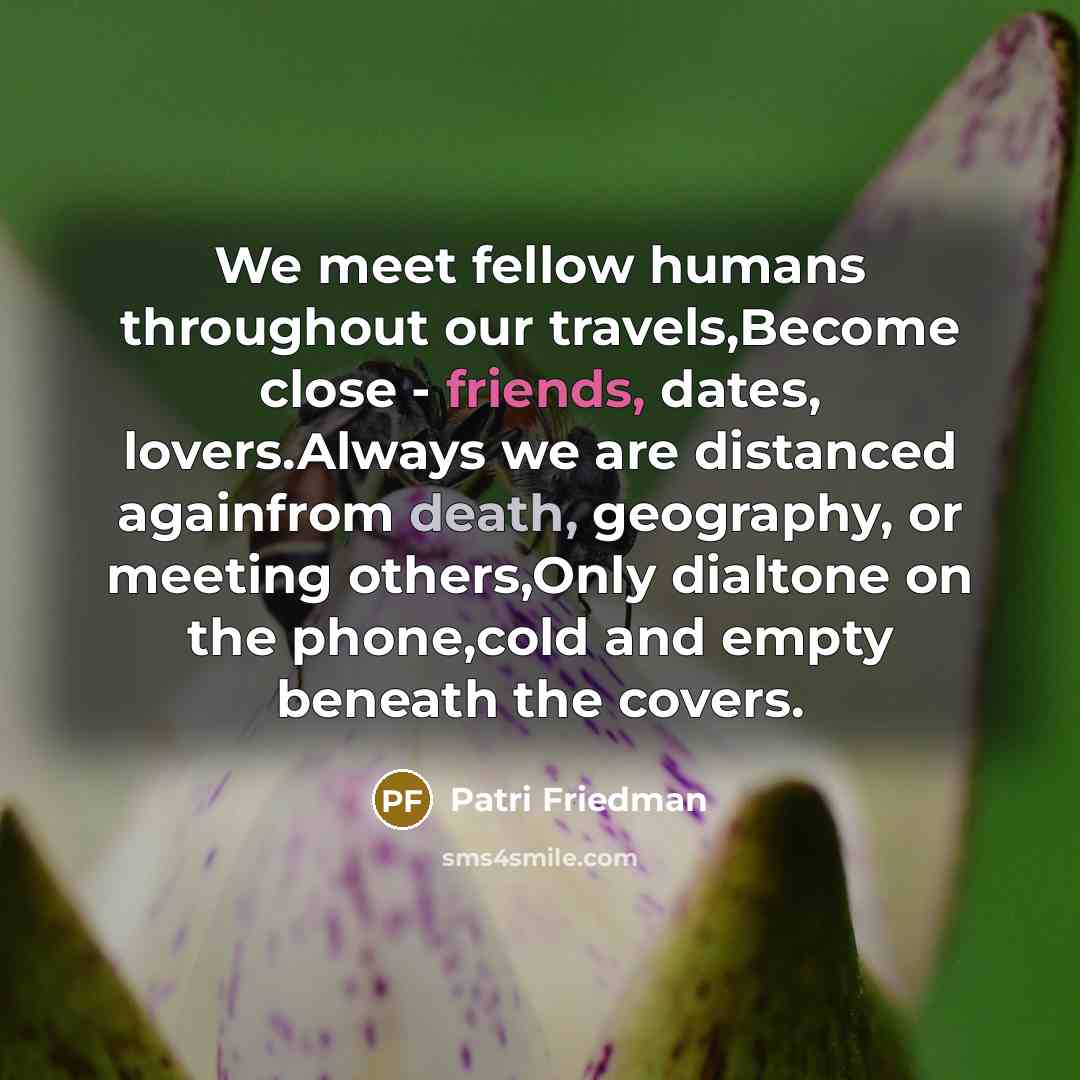 “We meet fellow humans throughout our travels,Become close - friends,…” quote by Patri Friedman