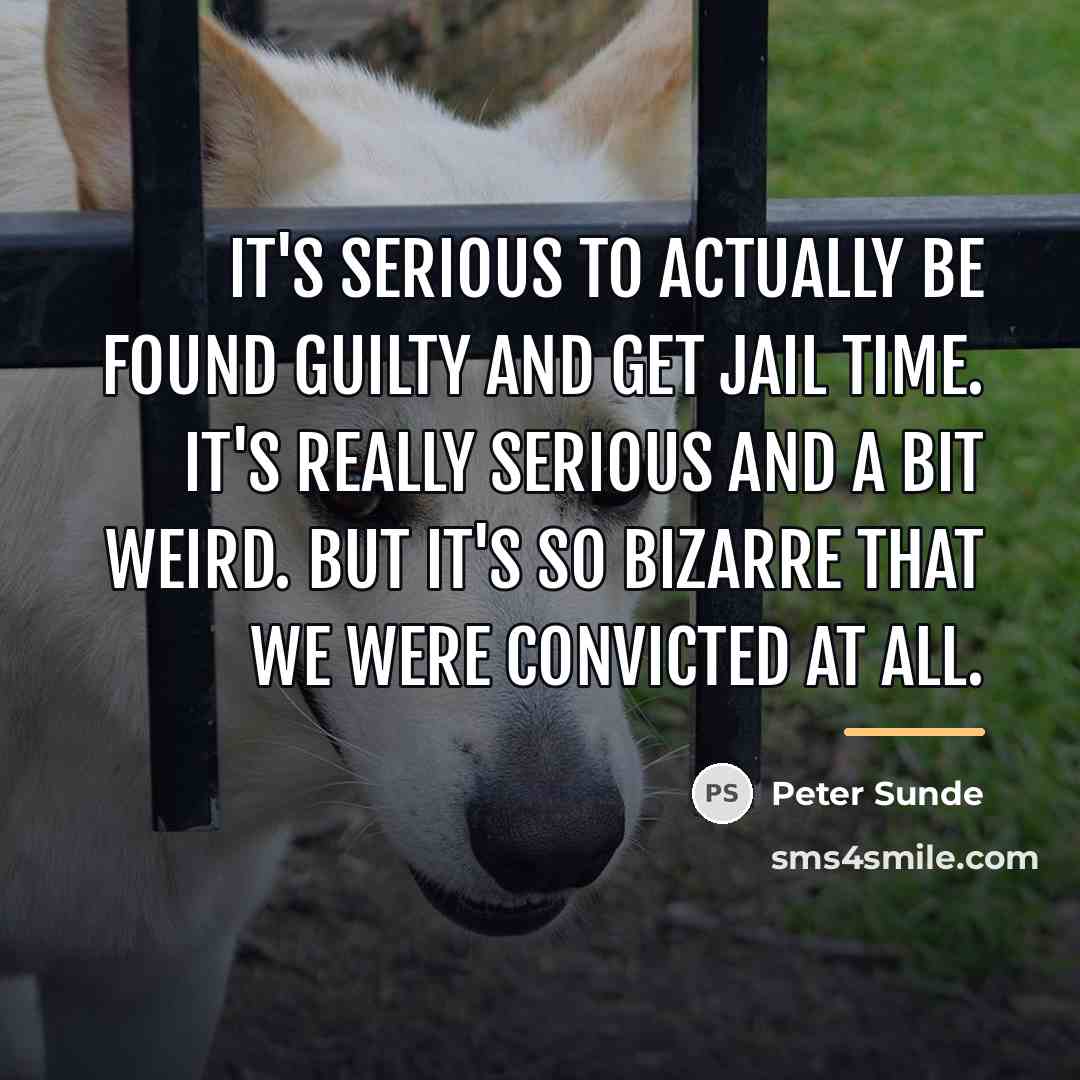 “It's serious to actually be found guilty and get jail…” quote by Peter Sunde