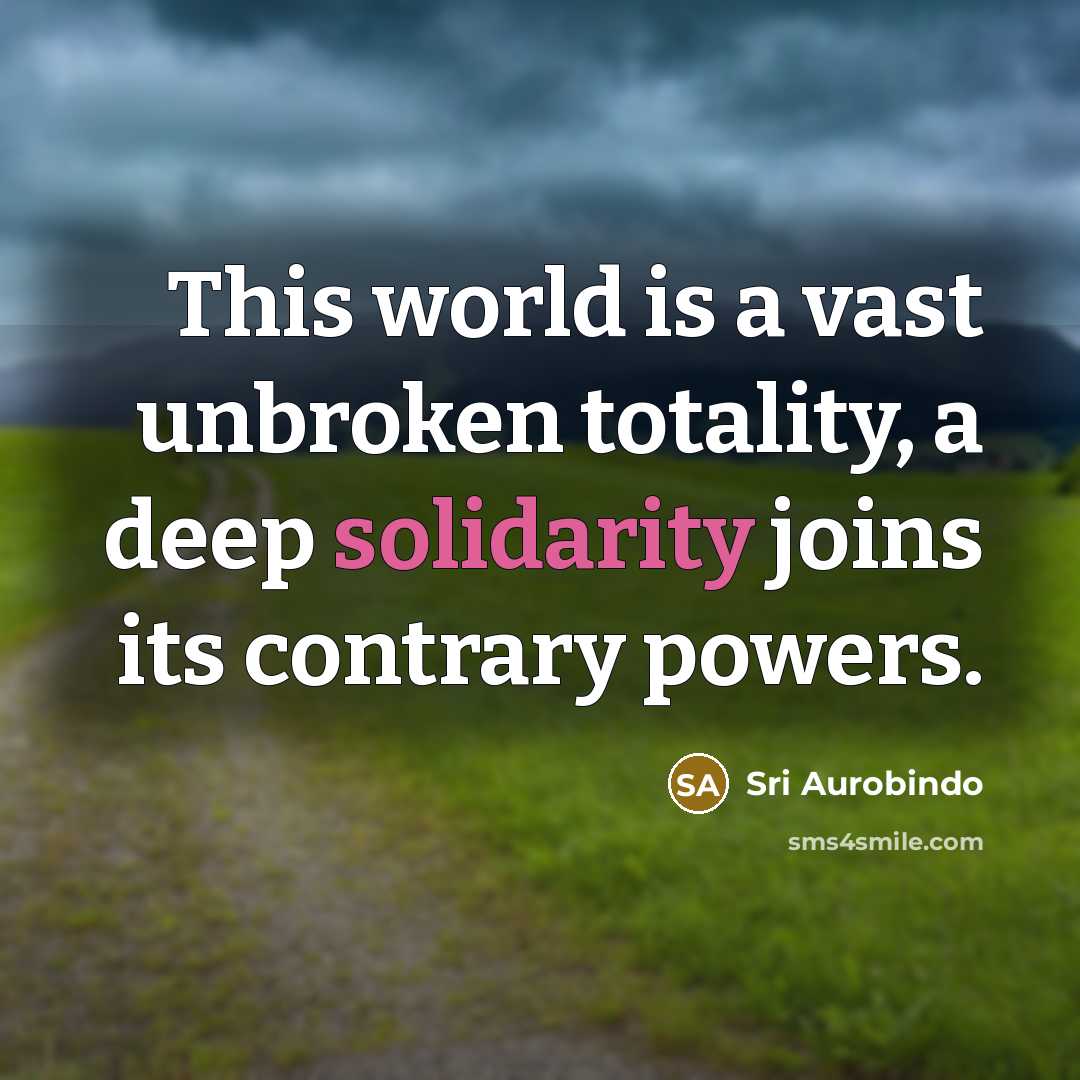 “This world is a vast unbroken totality, a deep solidarity…” quote by Sri Aurobindo