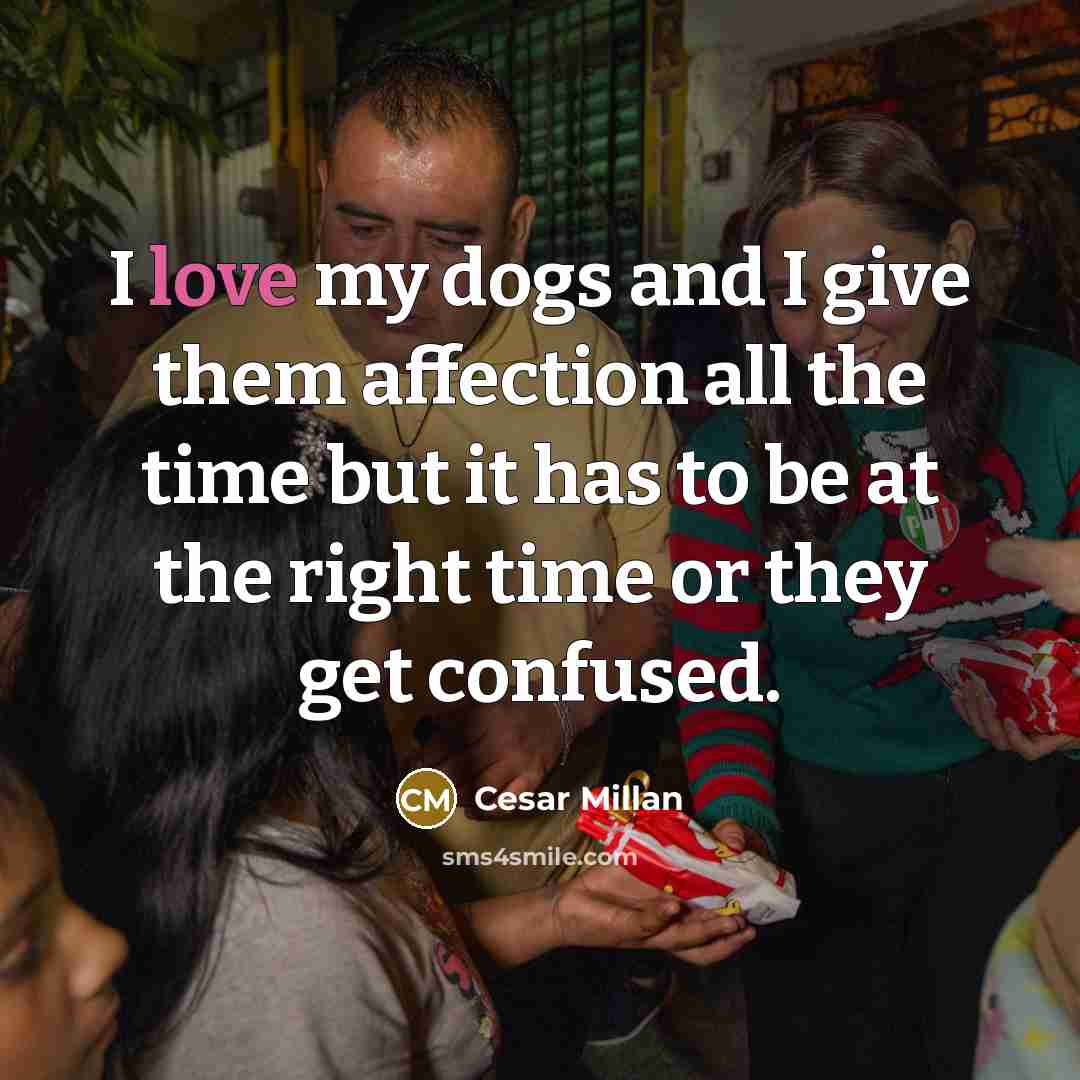“I love my dogs and I give them affection all…” quote by Cesar Millan