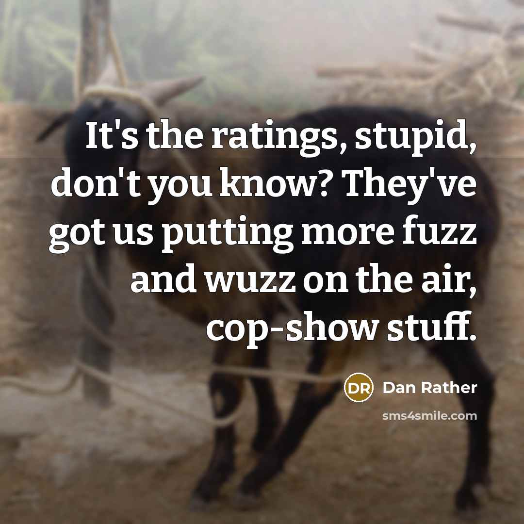 “It's the ratings, stupid, don't you know? They've got us…” quote by Dan Rather