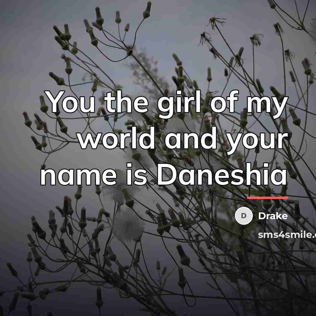“You the girl of my world and your name is…” quote by Drake