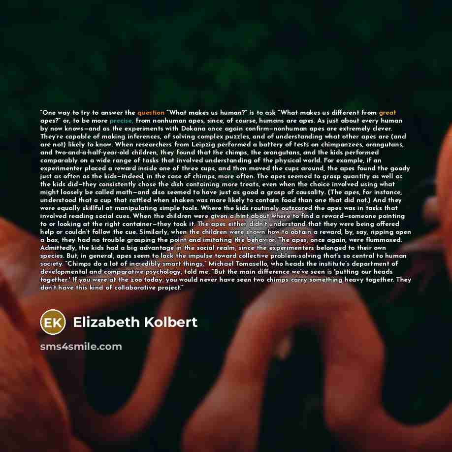 “One way to try to answer the question “What makes us human?” is to ask “What makes us different from great apes?” or, to be more precise, from nonhuman apes, since, of course, humans are apes. As just about every human by now knows—and as the experiments with Dokana once again confirm—nonhuman…” quote by Elizabeth Kolbert