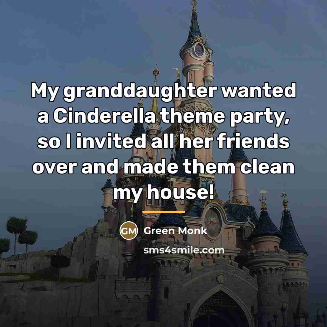 “My granddaughter wanted a Cinderella theme party, so I invited…” quote by Green Monk