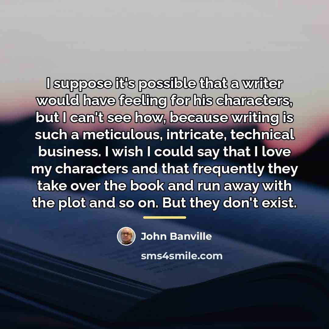 “I suppose it's possible that a writer would have feeling…” quote by John Banville