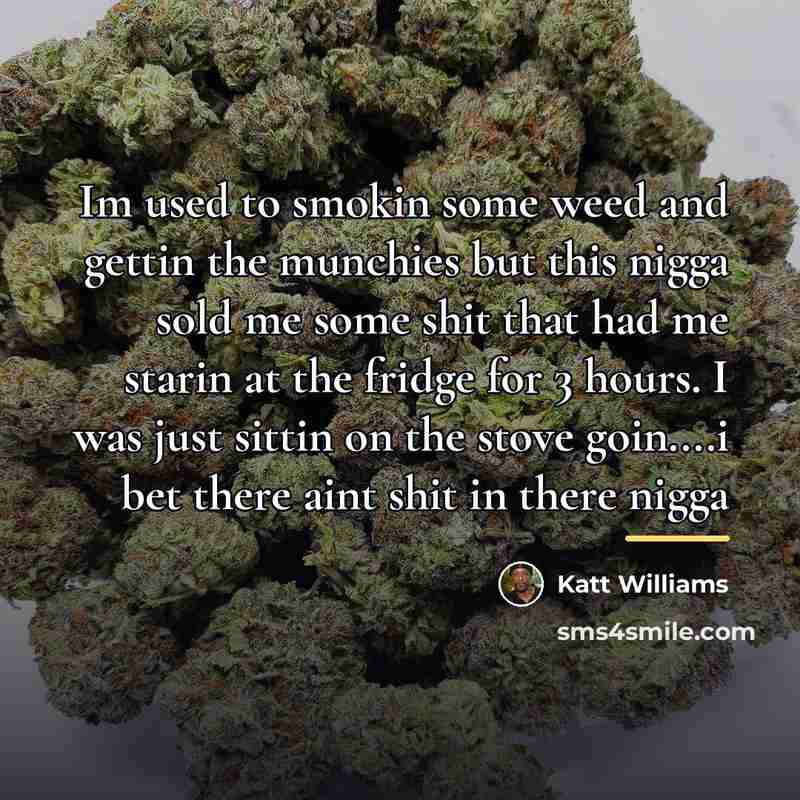 “Im used to smokin some weed and gettin the munchies…” quote by Katt Williams