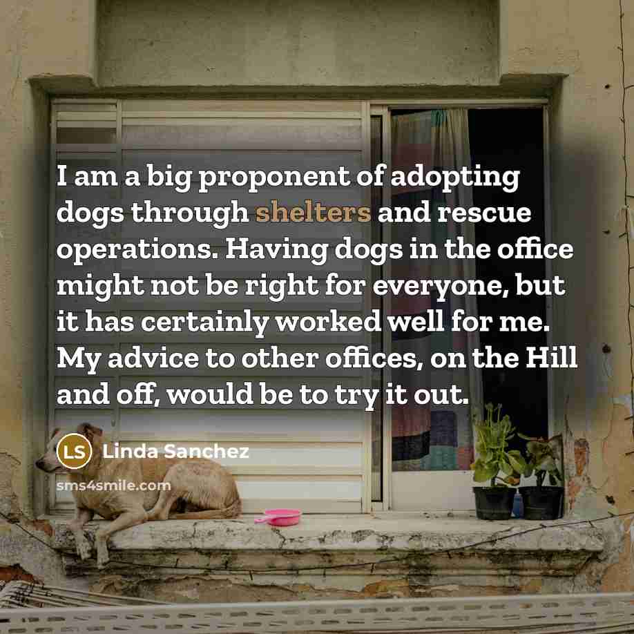“I am a big proponent of adopting dogs through shelters…” quote by Linda Sanchez