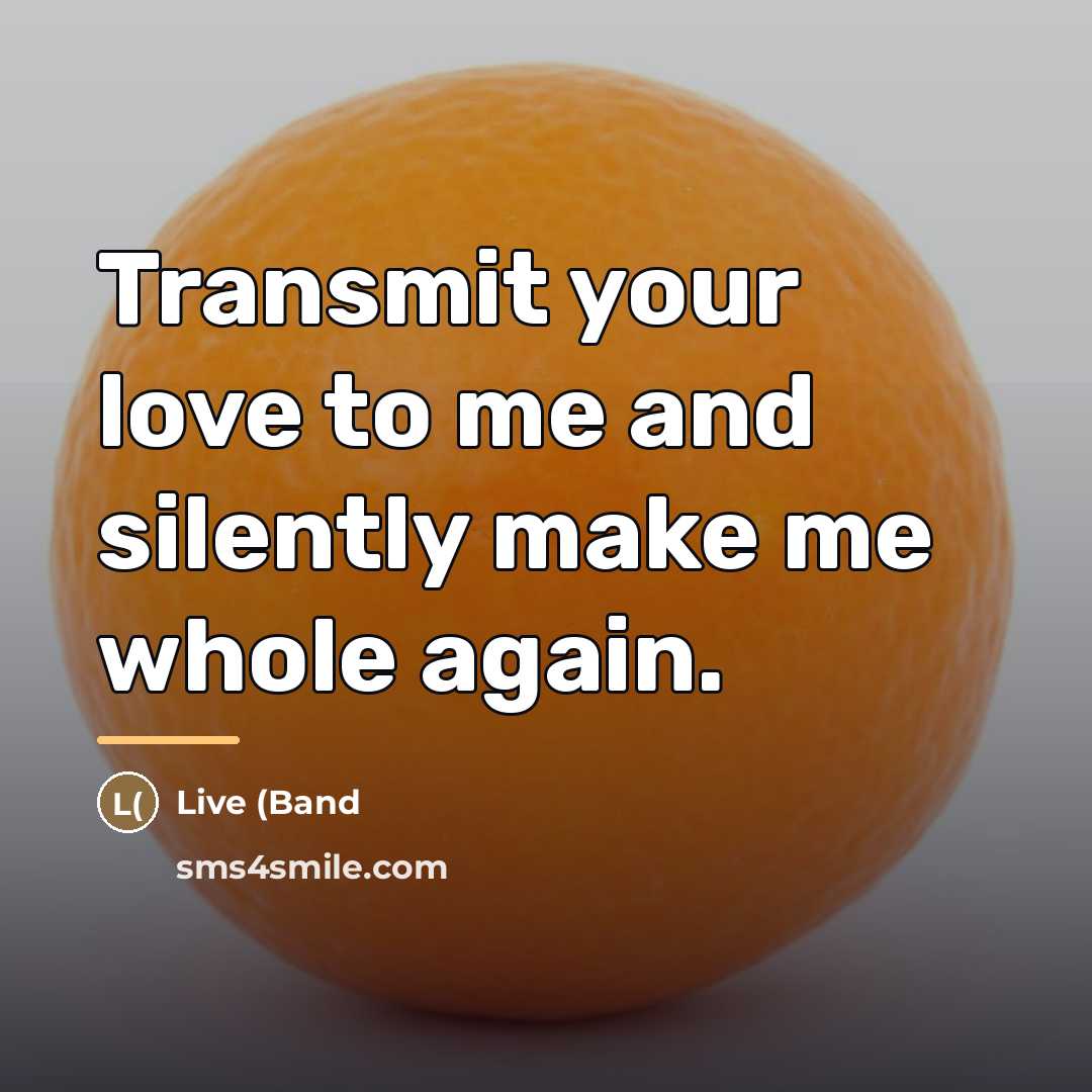 “Transmit your love to me and silently make me whole…” quote by Live (Band