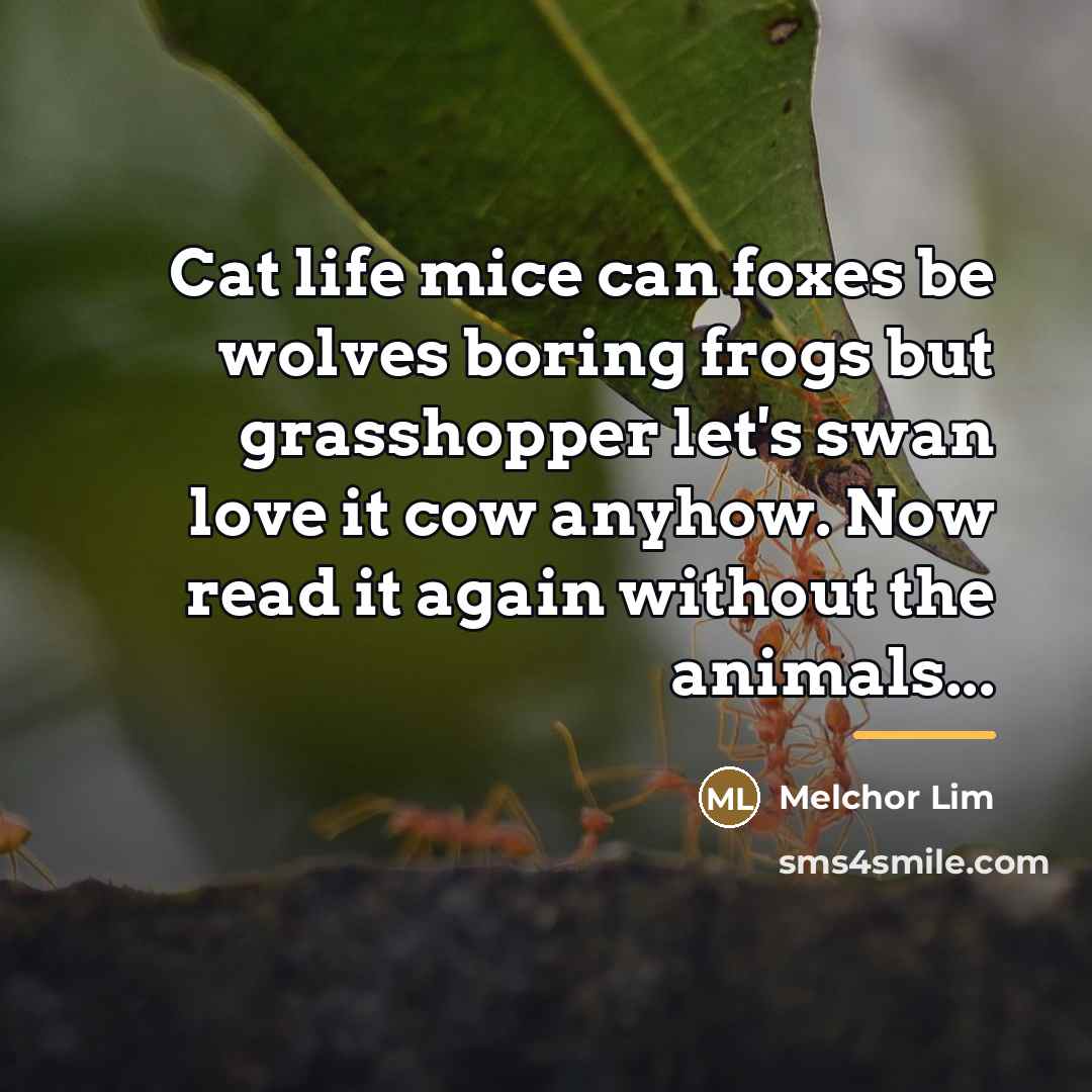 “Cat life mice can foxes be wolves boring frogs but…” quote by Melchor Lim
