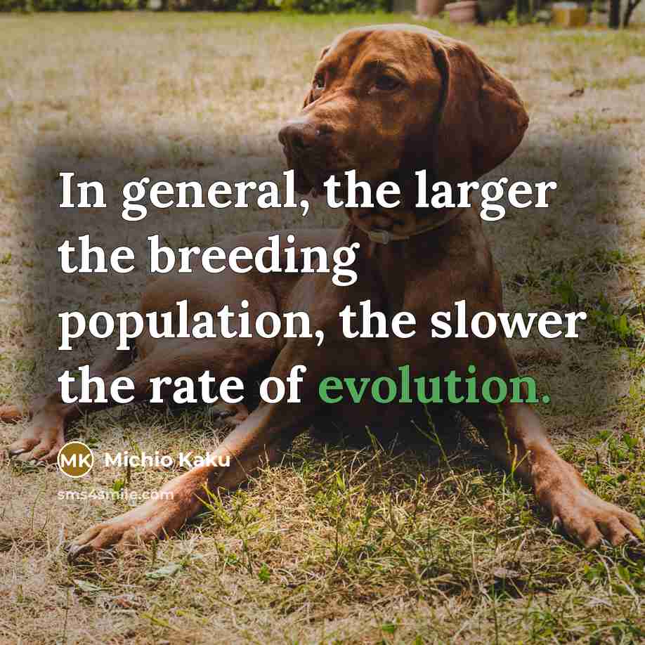 “In general, the larger the breeding population, the slower the…” quote by Michio Kaku