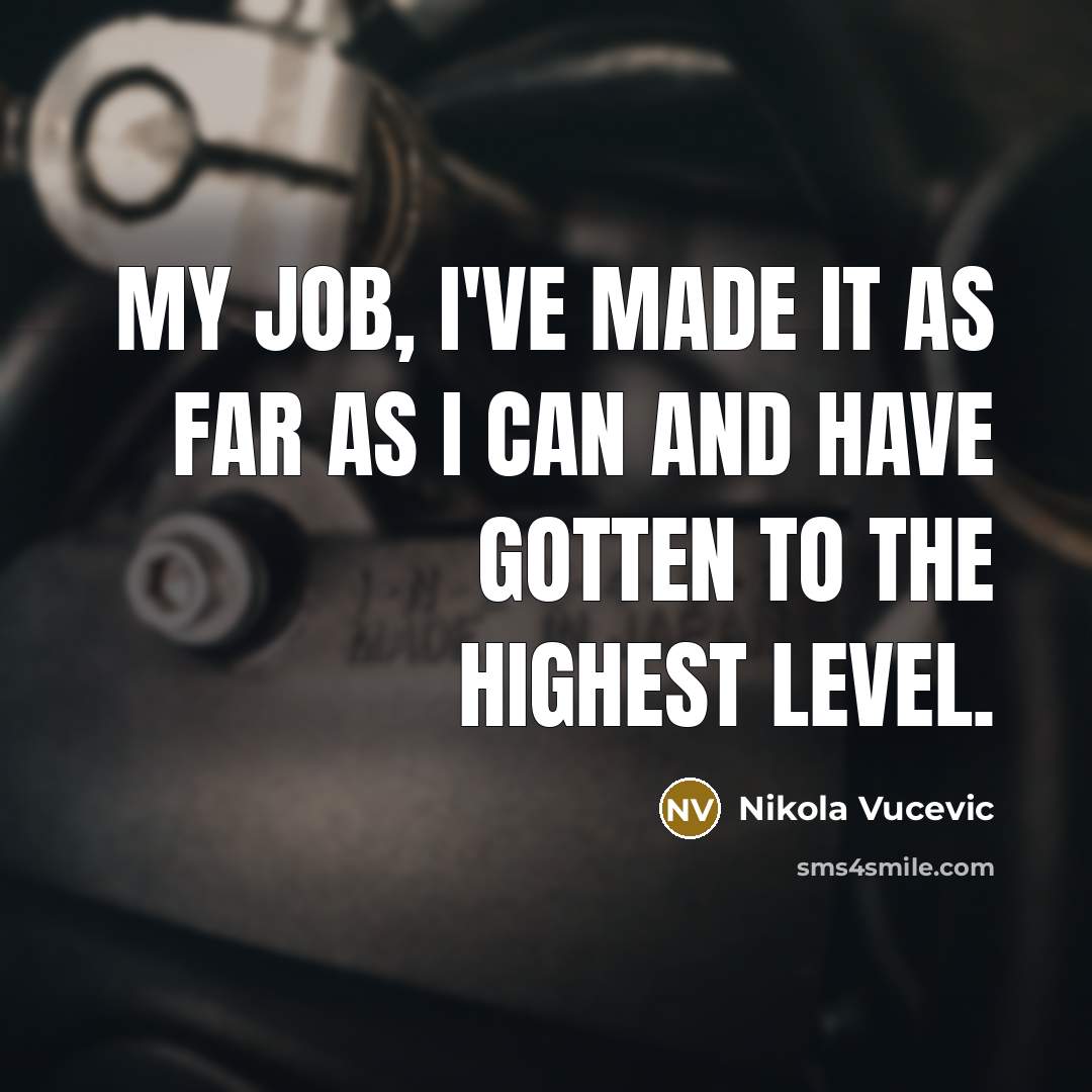 “My job, I've made it as far as I can…” quote by Nikola Vucevic
