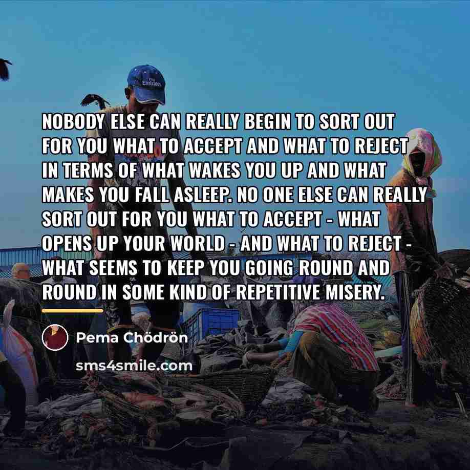 “Nobody else can really begin to sort out for you…” quote by Pema Chodron