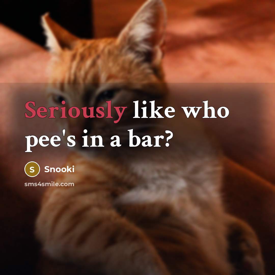 “Seriously like who pee's in a bar?” quote by Snooki