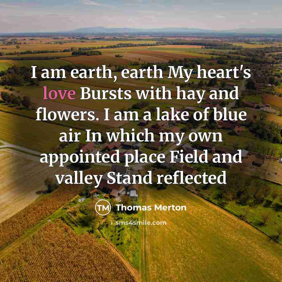 “I am earth, earth My heart's love Bursts with hay…” quote by Thomas Merton