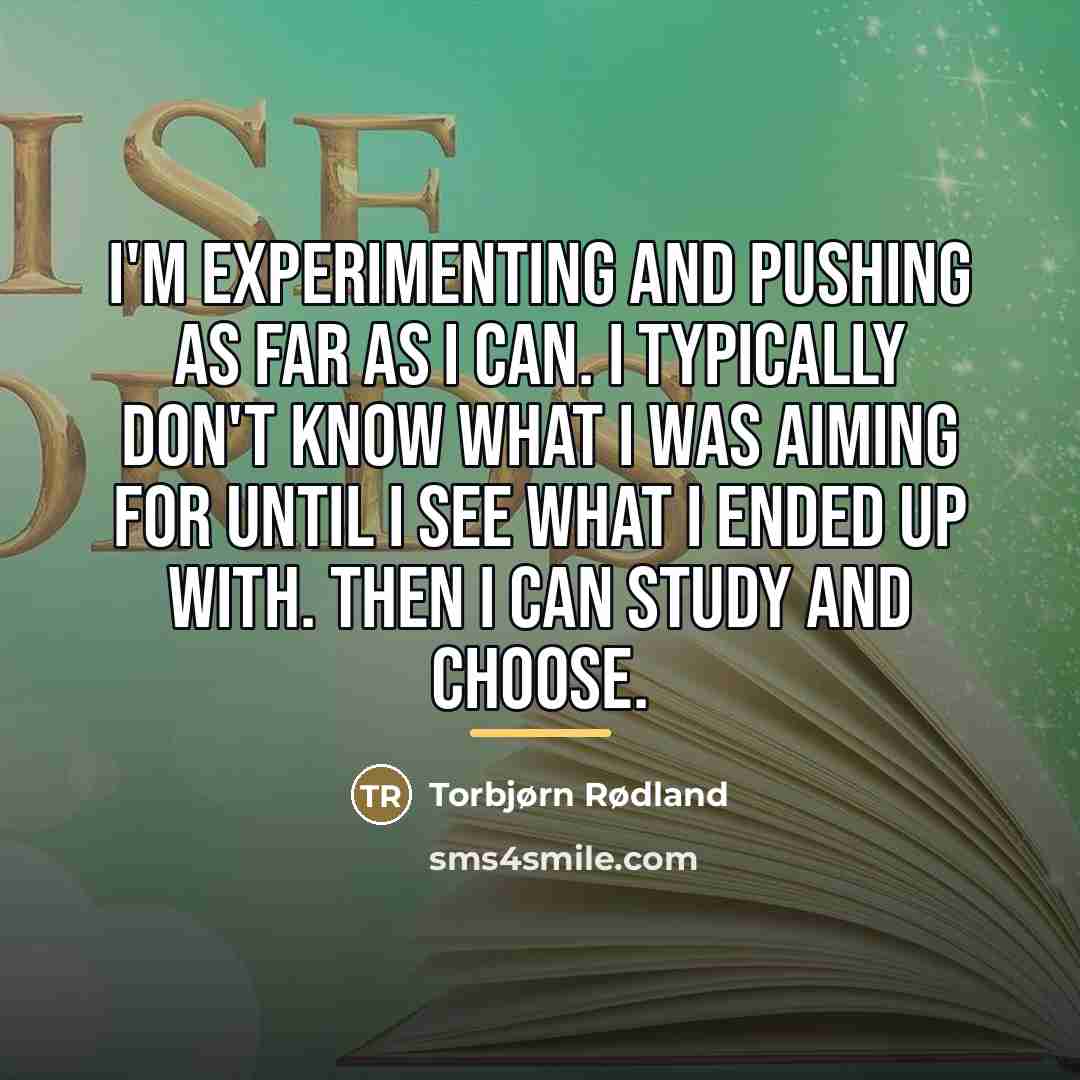 “I'm experimenting and pushing as far as I can. I…” quote by Torbjørn Rødland