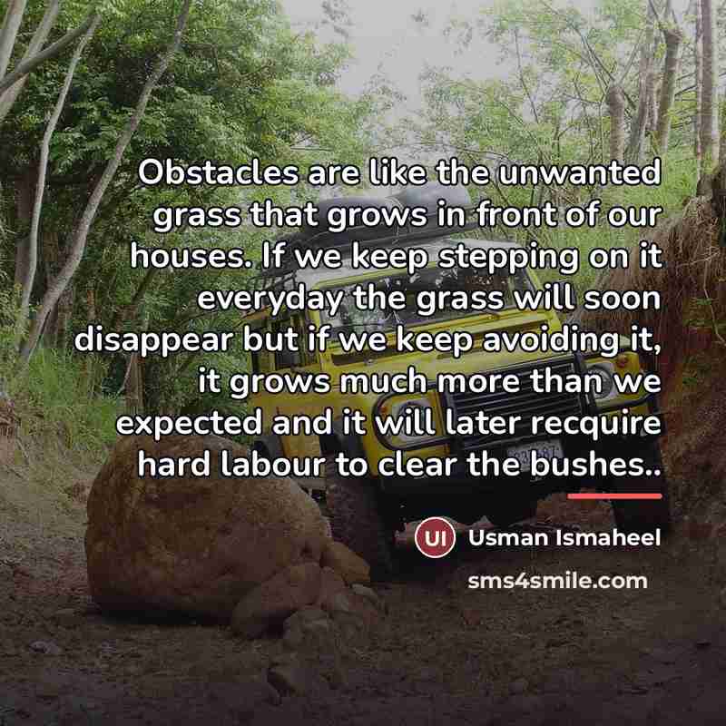 “Obstacles are like the unwanted grass that grows in front…” quote by Usman Ismaheel
