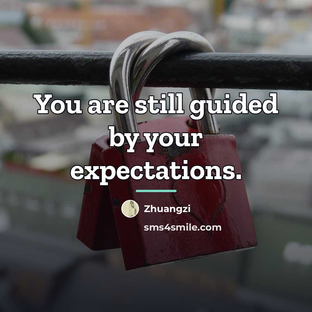 “You are still guided by your expectations.…” quote by Zhuangzi