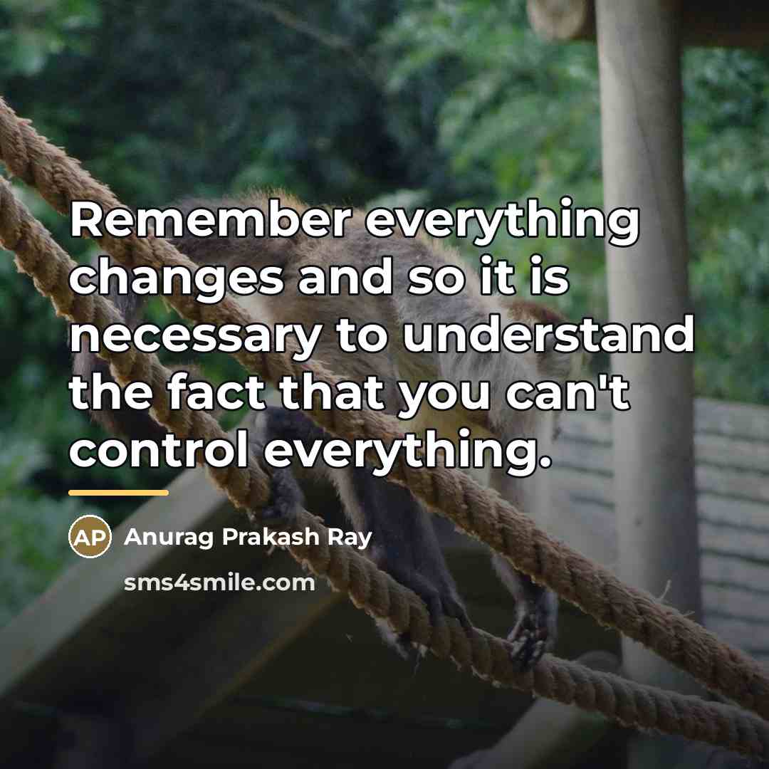 “Remember everything changes and so it is necessary to understand…” quote by Anurag Prakash Ray