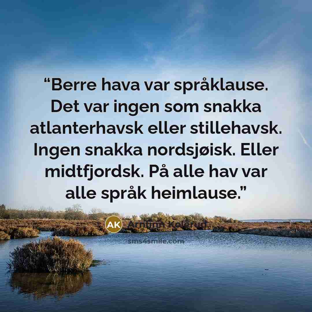 “Berre hava var språklause. Det var ingen som snakka atlanterhavsk eller stillehavsk. Ingen snakka nordsjøisk. Eller midtfjordsk. På alle hav var alle språk heimlause.” quote by Arnfinn Kolerud