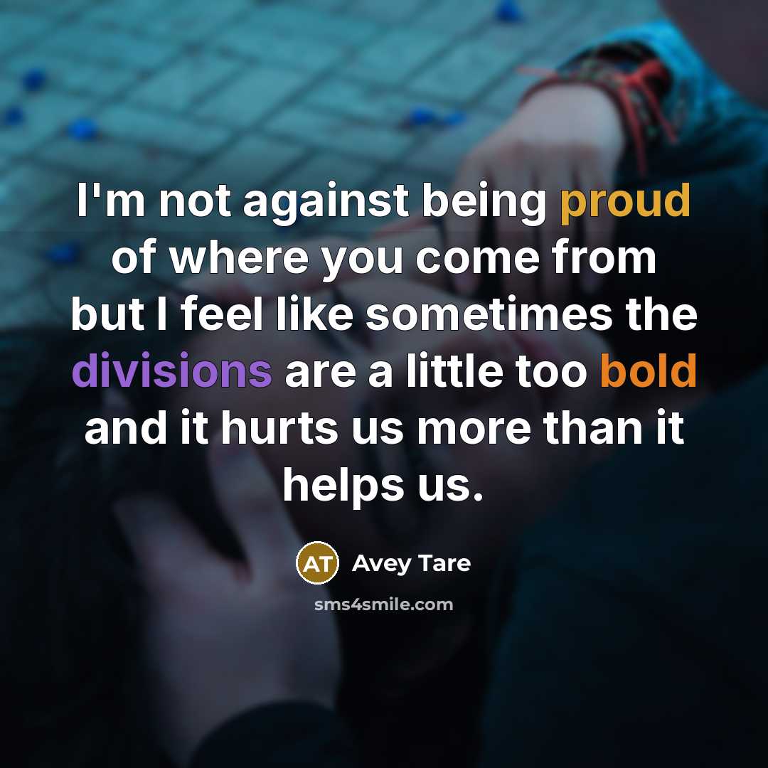 “I'm not against being proud of where you come from…” quote by Avey Tare