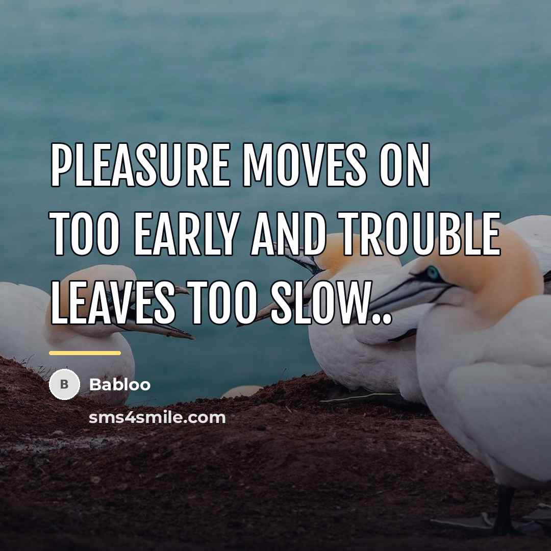 “Pleasure moves on too early and trouble leaves too slow..…” quote by Babloo