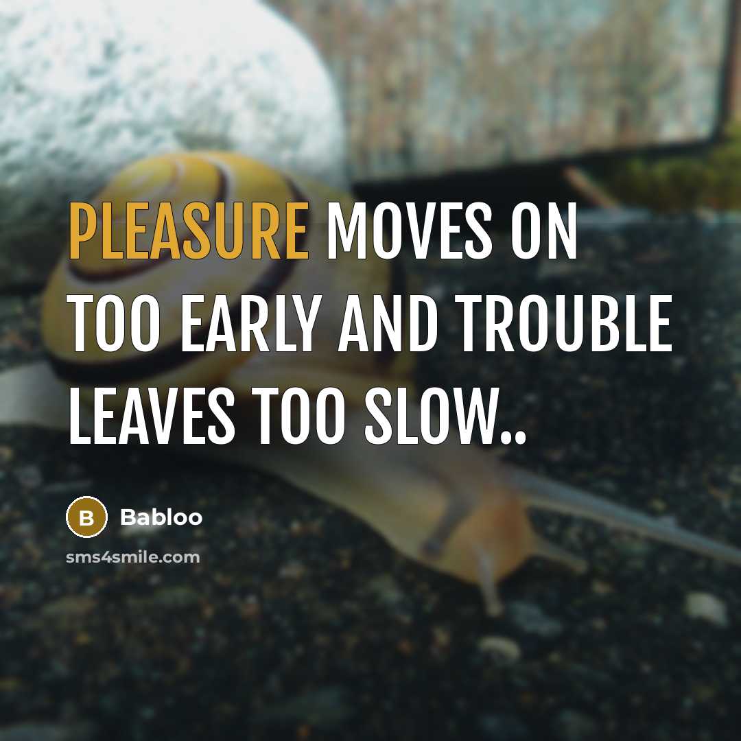 “Pleasure moves on too early and trouble leaves too slow..” quote by Babloo