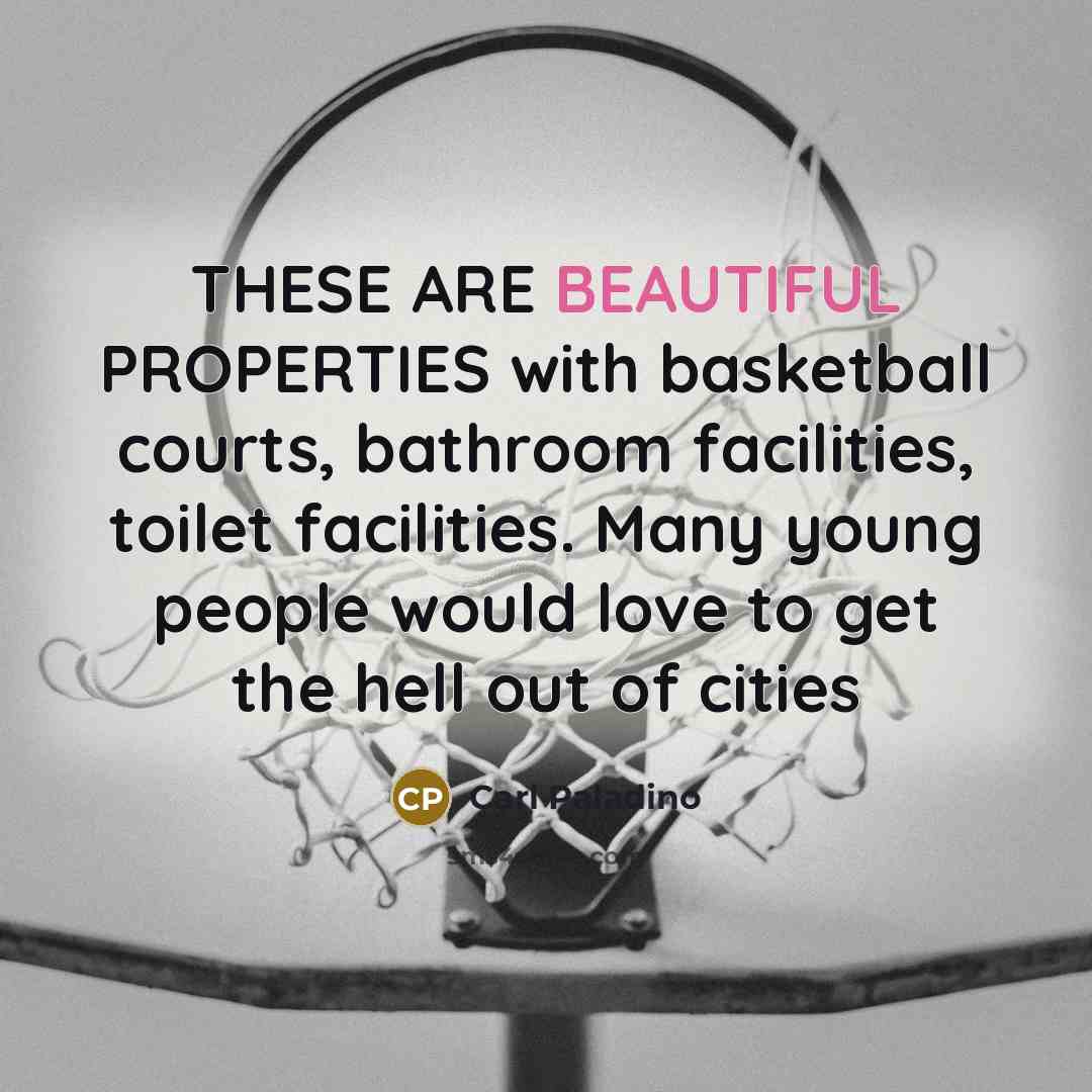 “THESE ARE BEAUTIFUL PROPERTIES with basketball courts, bathroom facilities, toilet…” quote by Carl Paladino