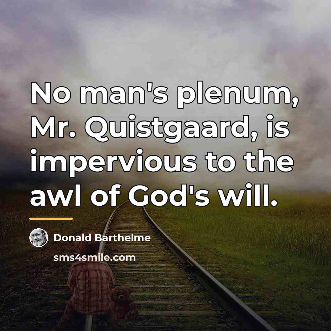 “No man's plenum, Mr. Quistgaard, is impervious to the awl…” quote by Donald Barthelme
